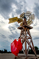 Brandy windmill IMG_2699