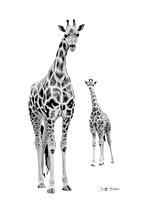 Copy L Giraffe  bw  IMG_0004