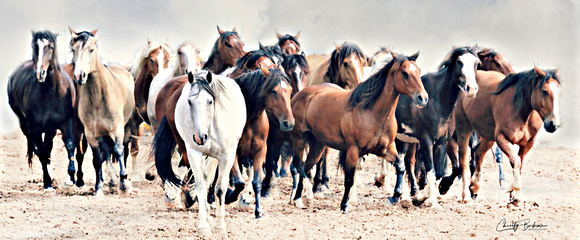 copy pano  Bucking  horses 2 IMG_4625