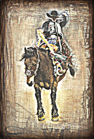 saddle bronc houston 11  IMG_3339