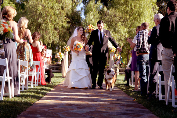 Jack Tawnie Wedding  2  3-30-2013 459