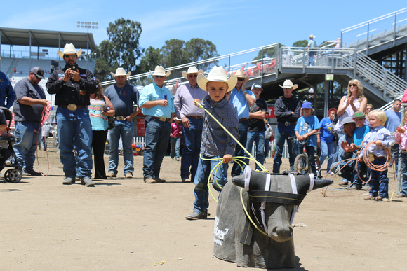 Salinas 2015 213