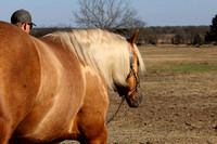 JKL Quarter Horses