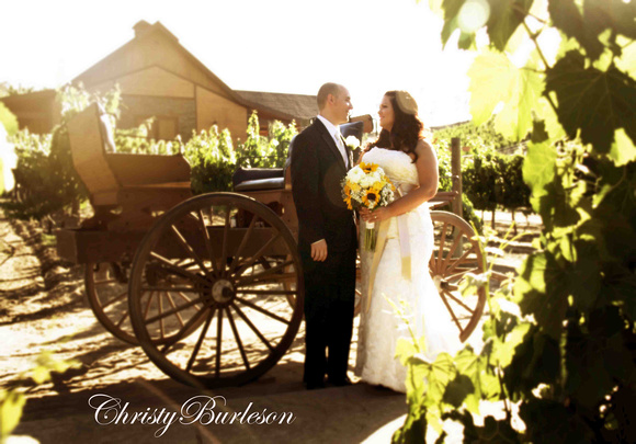 Melissa Garza  Keith  wedding1  6-15-2013 638edt1 copy